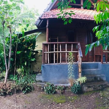 Echo Alam Nusa Lodge Ped Luaran gambar