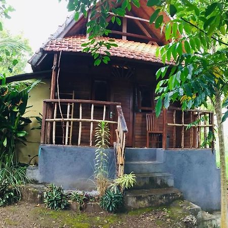 Echo Alam Nusa Lodge Ped Luaran gambar