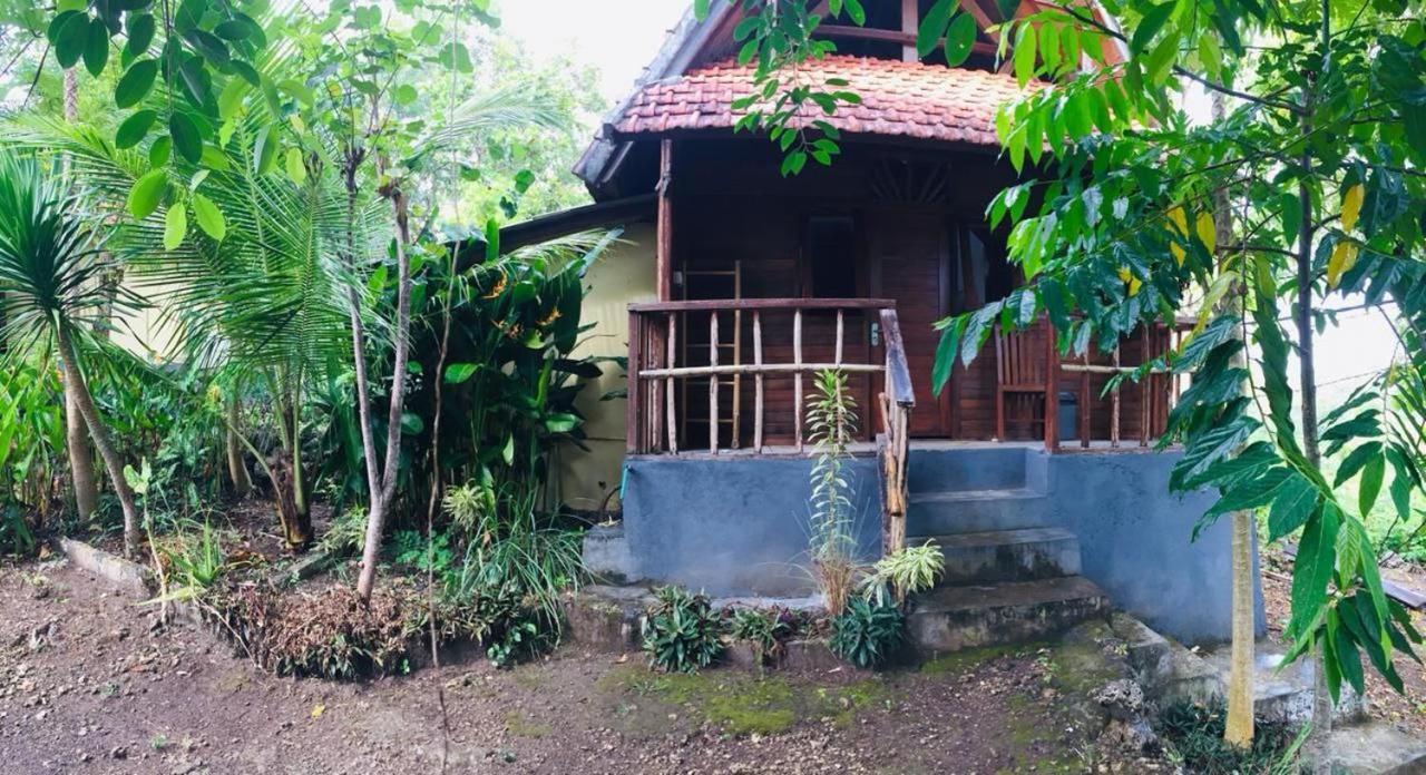 Echo Alam Nusa Lodge Ped Luaran gambar