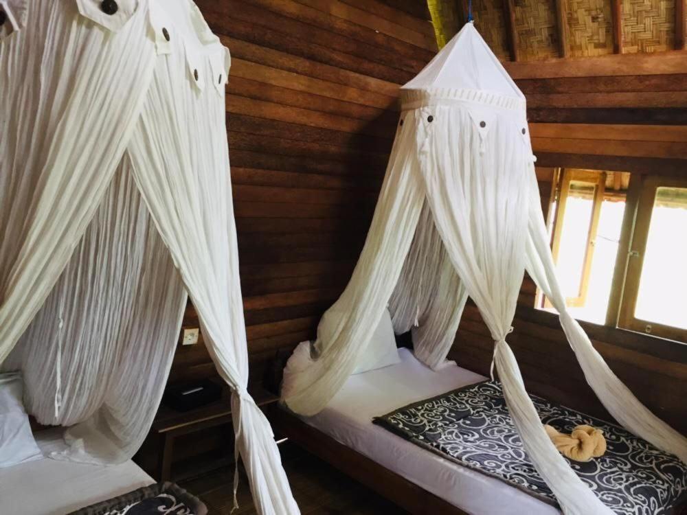 Echo Alam Nusa Lodge Ped Luaran gambar