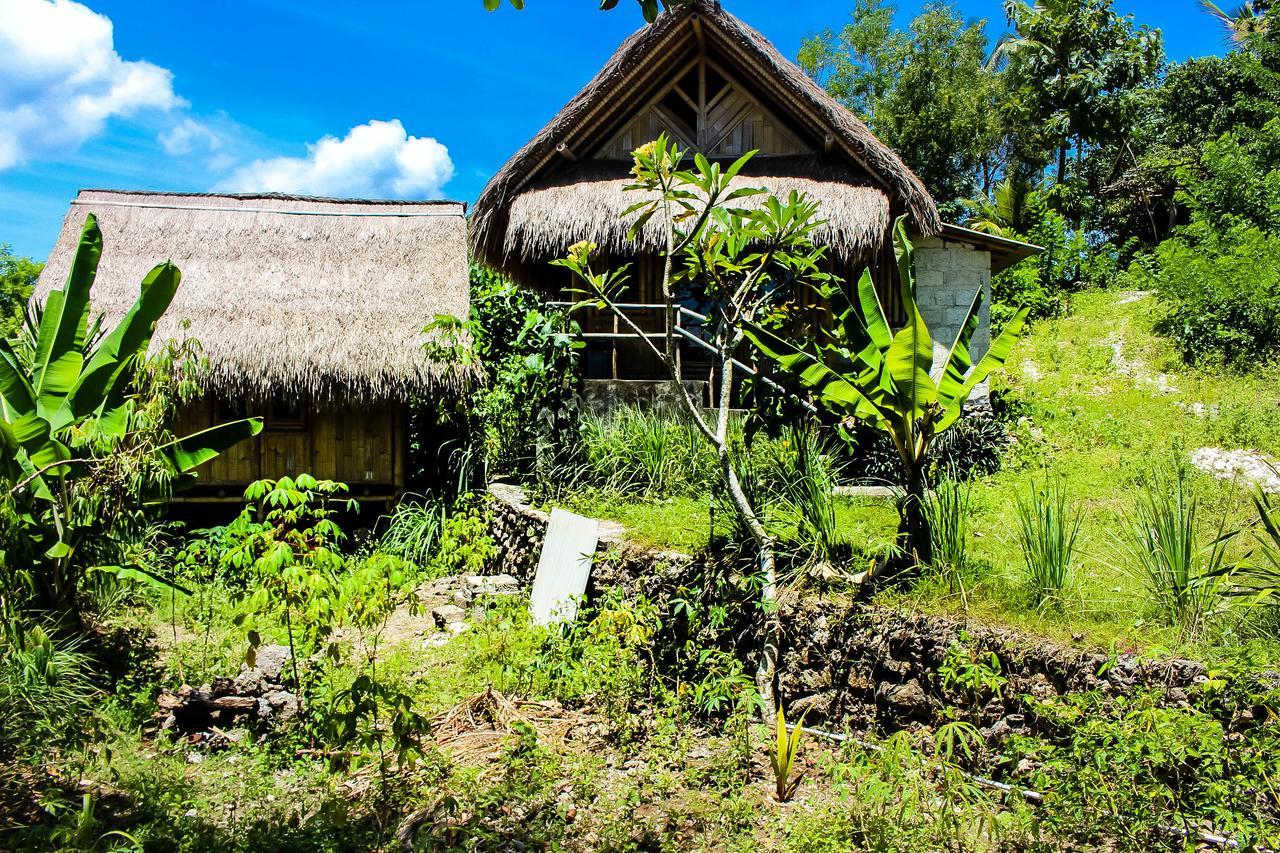 Echo Alam Nusa Lodge Ped Luaran gambar