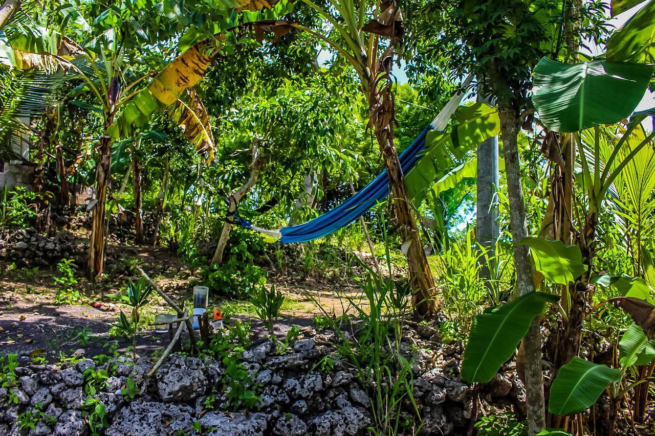 Echo Alam Nusa Lodge Ped Luaran gambar