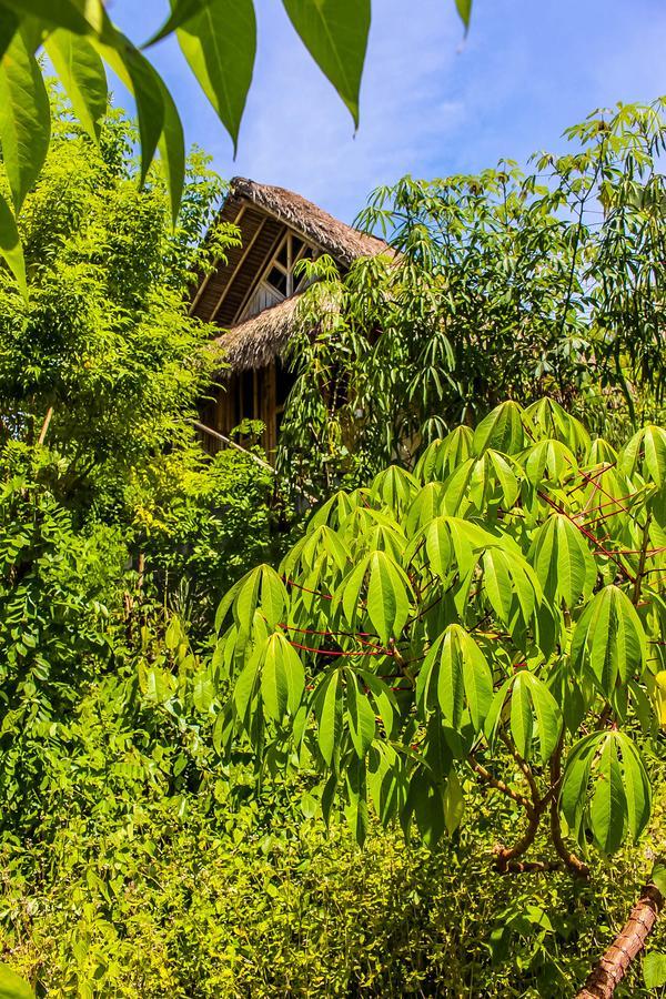 Echo Alam Nusa Lodge Ped Luaran gambar